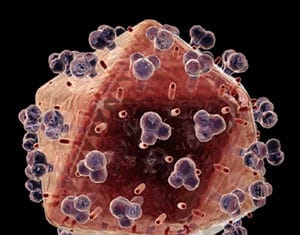 Una tesis de la UPV/EHU describe 35 nuevos tipos de retrovirus