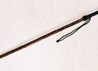 Una Makila es es simbolo de la presidencia de la europea CALRE