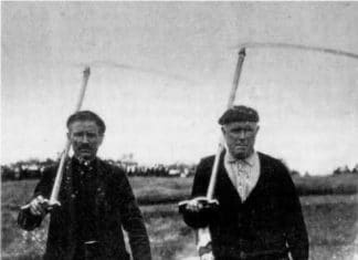 Tesis doctoral en la UPV/EHU sobre los segalaris