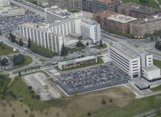 Se desarrolla una técnica en la Universidad de Navarra para proteger el higado en casos de cancer de colon
