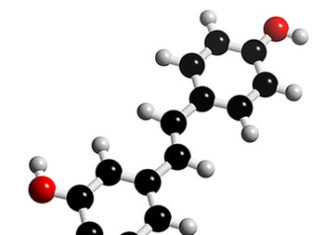 Estudio de la UPV/EHU sobre una molécula que ayuda a reducir la grasa corporal
