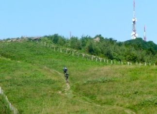 Una bajada en bicicleta por un bosque de Euskadi