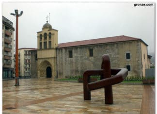 Hernani usara el ADN para multar a los dueños de los perros que «ensucien la calle»