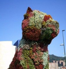 4 razones de peso para hacer turismo en el País Vasco