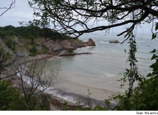 Nuestro senderista USA pasea por la costa de Iparralde