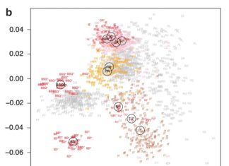 Más sobre la genética de los vascos. El pasado que ha hecho el presente