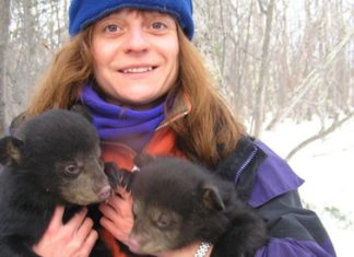 Una vasca lucha por la preservación del medio ambiente en el corazón de la Columbia británica