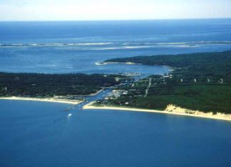 Long Island se prepara para recibir a 24 estudiantes vascos