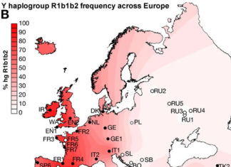 Los vascos son vascos a ambos lados de la frontera. Incluso en su genética