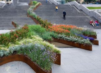 Un pajaro que trae mucha cola