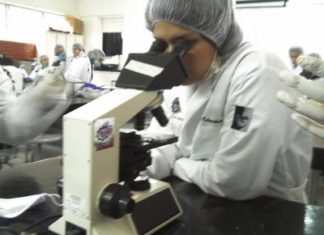 Investigadores de la Universidad de Navarra identifican tres genes implicados en la parálisis supranuclear progresiva