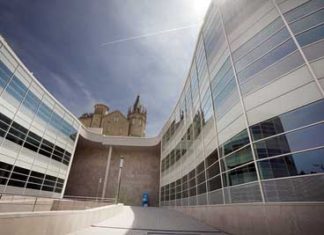 El Basque Center on Cognition, Brain and Language busca investigadores