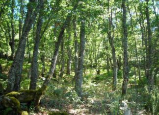 Los posibles efectos del cambio climático en Euskadi