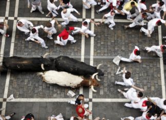 Gora San Fermin!!!!!!!