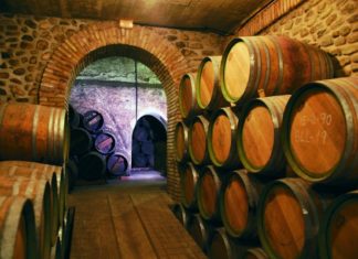 Un viaje por los vinos de Navarra