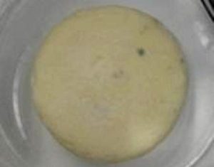 La UPV/EHU trabaja en la creación de embalajes de alimentos «inteligentes y comestibles»