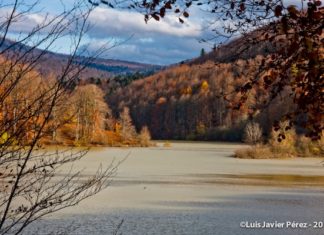 Irati en otoño. Fotos añadidas a nuestra colección de fotos de Euskadi