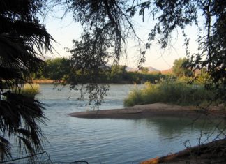 Empresarios navarros van a invertir en Angola