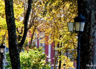 Fotos de Bilbao en el album de fotos de Euskadi de nuestra web