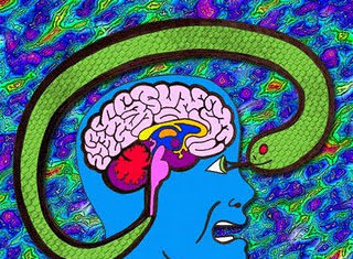 Sexismo, racismo, autoritarismo… Pensar con el cerebro de un reptil