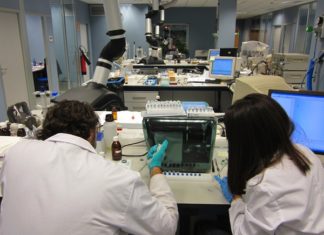 ¿Euskadi se está convirtiendo en un País nano?