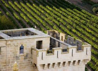 Información sobre la viticultura de la Navarra peninsular en una web alemana