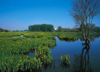 El alcalde de Gasteiz en Rio+20: las ciudades deben tener se protagonistas en las políticas de sostenibilidad