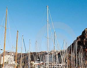 Universidad de Boise: viaje cultural de Boise a Euskadi este verano