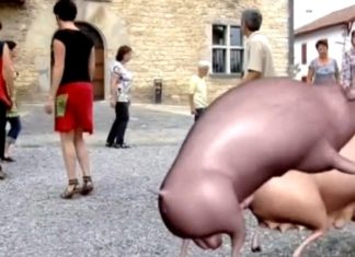 Una divertida historia de «txarris» desde Iparralde