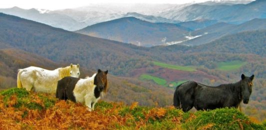 Una vista del Valle del Batzan (Euskadi) donde se han encontrado relaciones genéticas directas entre sus pobladores actuales y los de hace 15.000 años