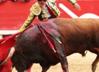 Lo importante es que las corridas de toros son suspendidas por los nacionalistas vascos