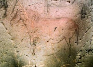 ¿Irlandeses y vascos, los europeos originarios?