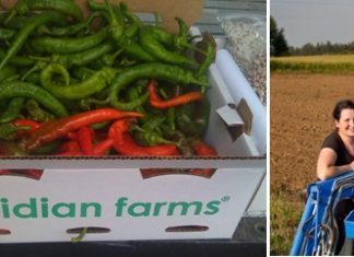 Una granja de productos vascos en Oregon (USA) y los pimientos del país