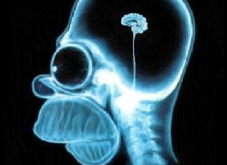 ¿Un ejemplo de cómo ve la Inteligencia USA el caso vasco? Esperemos que no