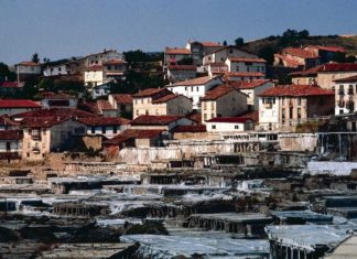 Farmacéuticos alemanes hacen turismo en el País Vasco