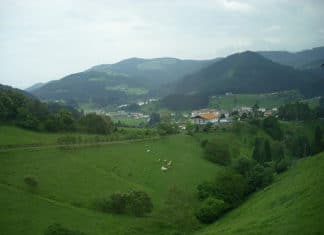 Un poco de sangre vasca es suficiente sangre vasca