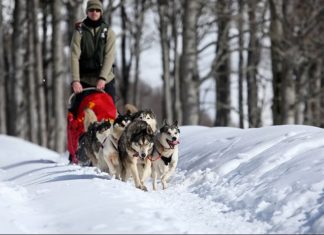 Recorriendo los Pirineos vascos en trineo