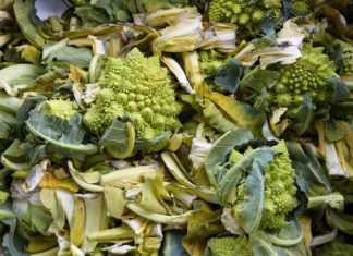 Un proyecto de AZTI-Tecnalia para reutilizar residuos vegetales