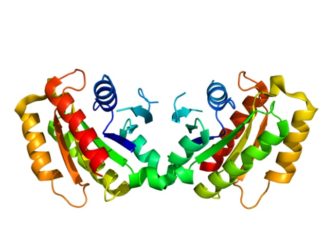 Estudios sobre la mutación vasca del Parkinson