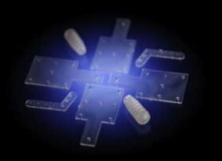 Implantes óseos hechos de polímeros biodegradables Una nueva tecnología desde Euskadi