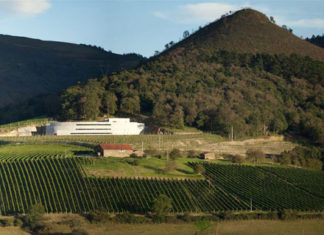 Txakoli K5. Argiñano se echa al vino