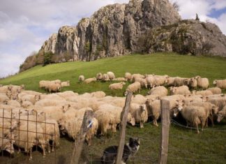 Su comida, su cultura y su país. Lo más importante para los vascos (pero no el flamenco)