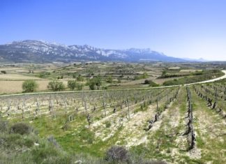 Costa Vasca-Rioja alavesa-Costa Vasca. Una propuesta de lujo en Mapplr