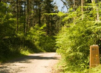 Guitarras y castañuelas. La ambientacion perfecta para recorrer la Costa cantábrica