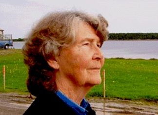 Los balleneros vascos en Canadá. El mejor resumen que hemos leído (de lectura obligada)