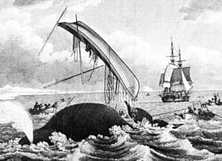 La repercusión del reconocimiento como Patrimonio de la UNESCO a la presencia vasca en Red Bay (Canadá)