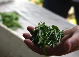 Desde Alabama a Donostia