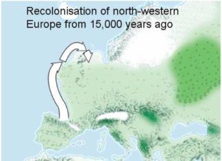Una explicación científica a la teoría del origen vasco de los británicos