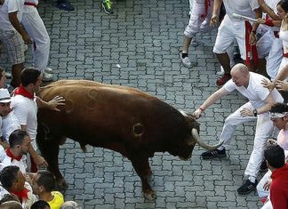 Resumen de los Sanfermines 2013. Con una introducción de Mark Bieter