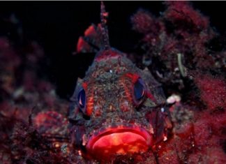 Jaizkibel, en un año: Zona de Especial Conservación